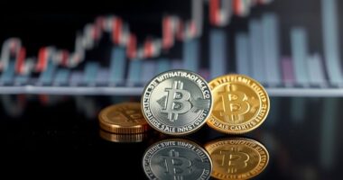 minimalist investment diversification strategy