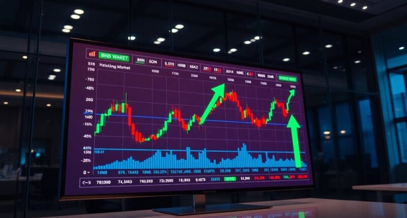 crypto market stabilizes bnb surges