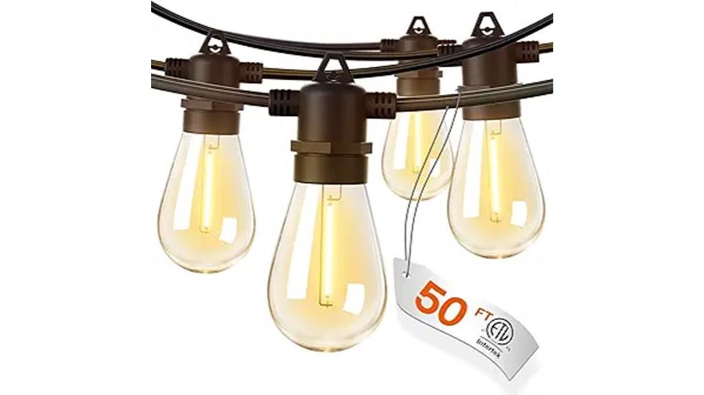 50ft edison bulb string