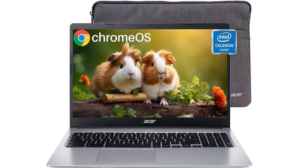 acer chromebook 315 laptop