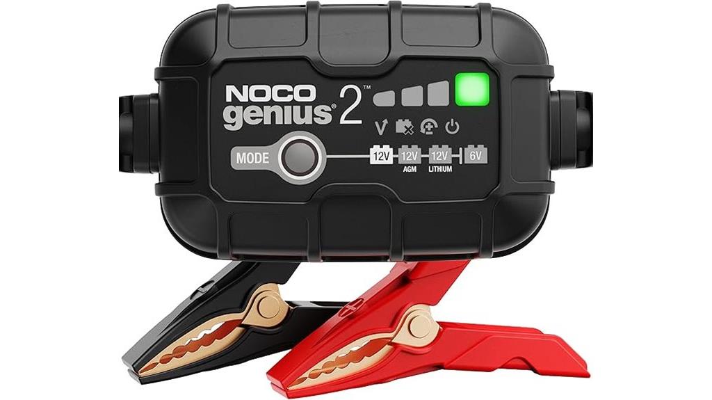 dual port smart charger