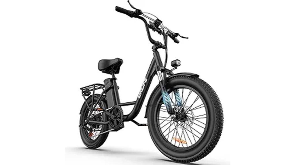 electric fat tire bike