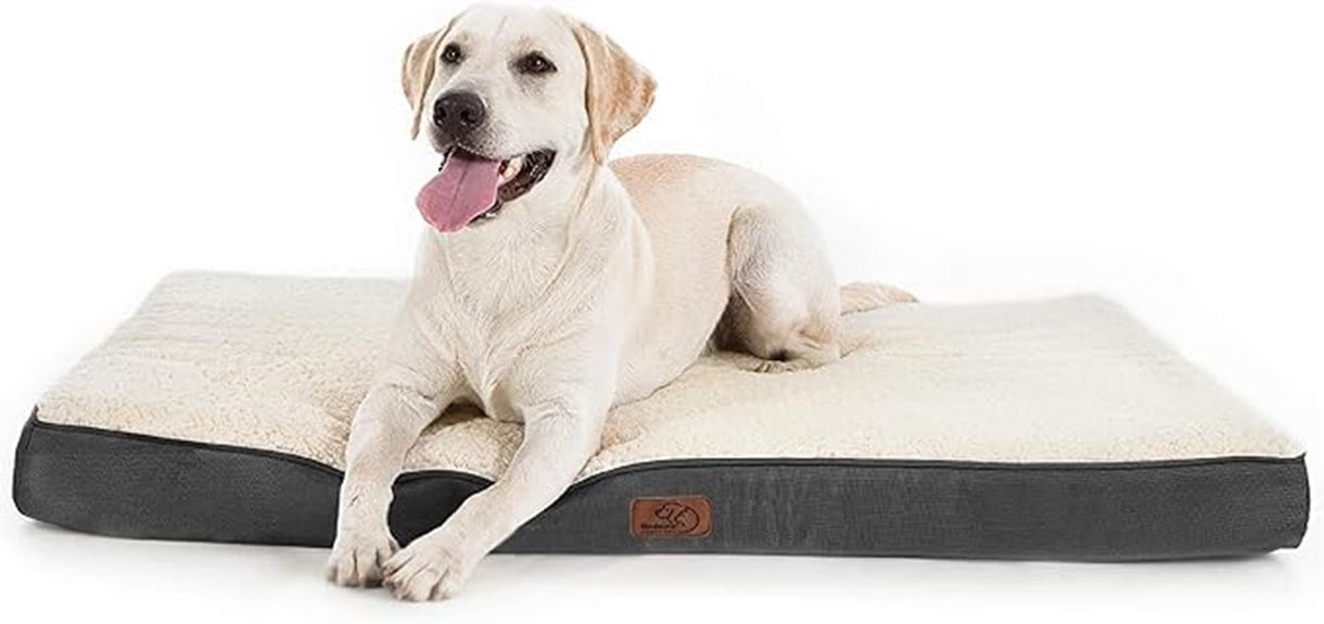 large washable orthopedic bed