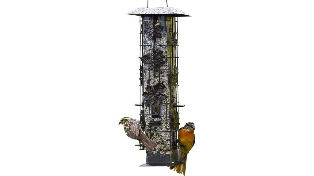 squirrel proof bird feeder