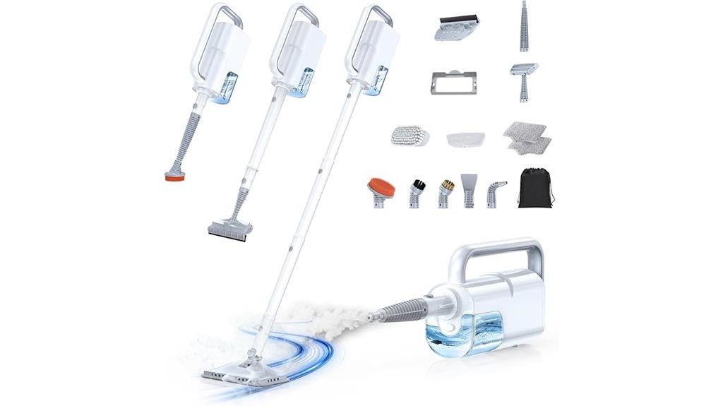 ten in one steam cleaning