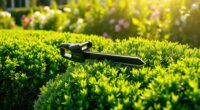 top hedge trimmers 2025