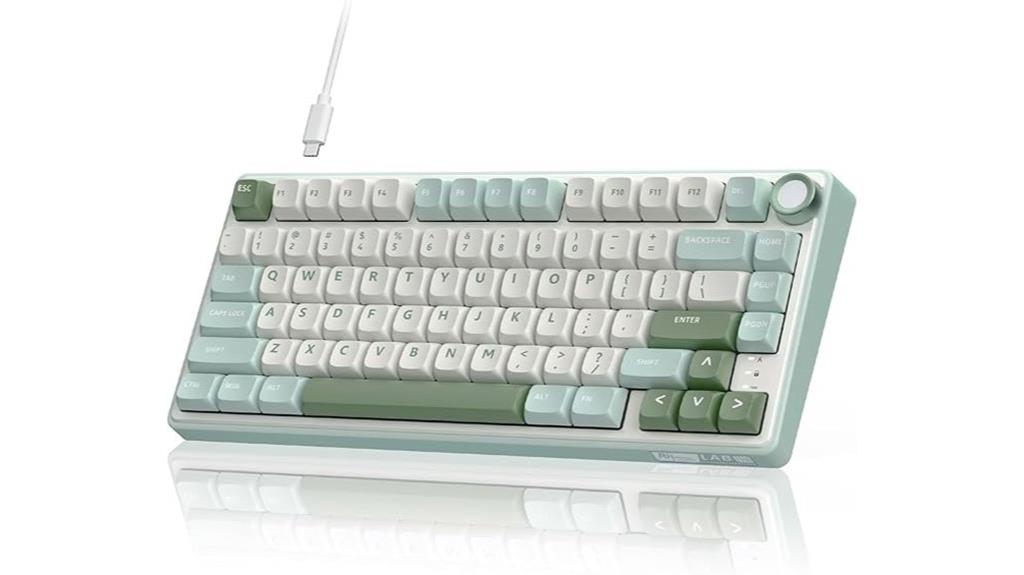 wireless mechanical keyboard with volume