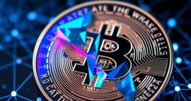 shared ownership of digital collectibles