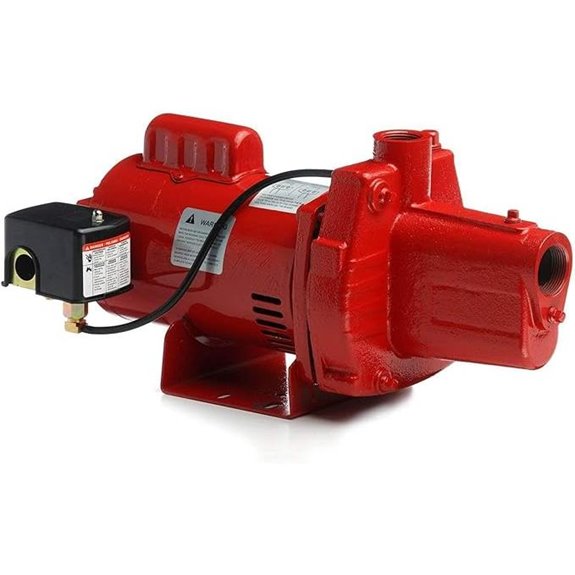 Red Lion 1 HP Cast Iron Shallow Well Jet Pump