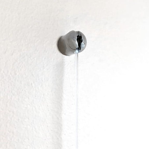 PHS Adjustable Art Hanging System with Bullet Hanger
