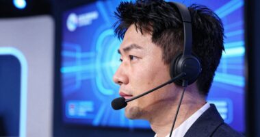 affordable wireless presentation mics