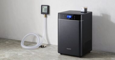 basement dehumidifier capacity options