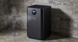 basement humidity mold prevention