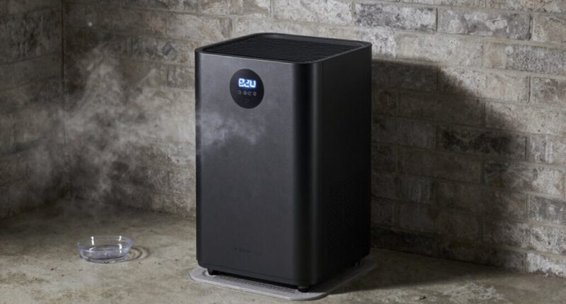 basement humidity mold prevention