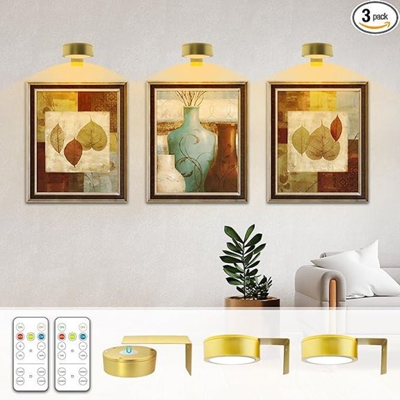 Battery Picture Light 3-Pack Dimmable Wall Art Lights
