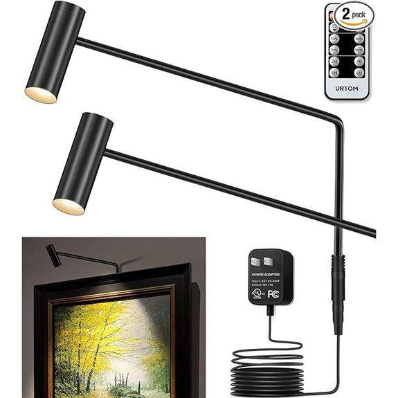 LED Picture Light 2-Pack Dimmable Wall Art Illumination