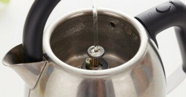 gentle descaling preserves element