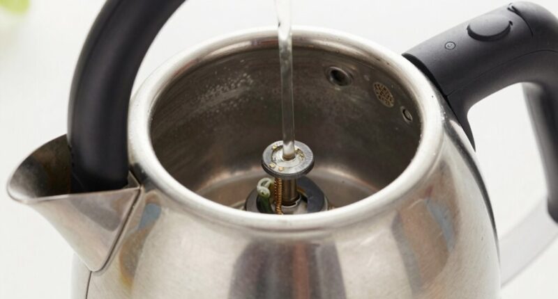 gentle descaling preserves element