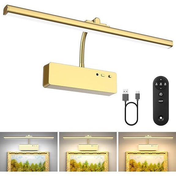 gold rechargeable picture light