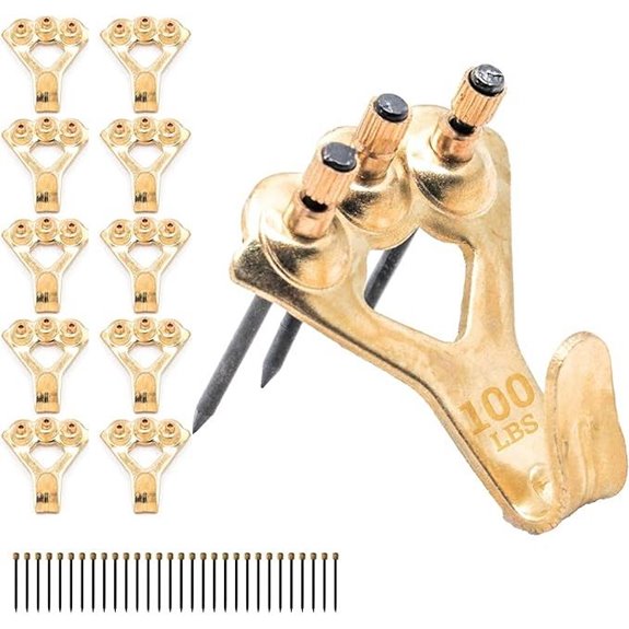 Heavy Duty 100 lb Picture Hangers (10 Pack)