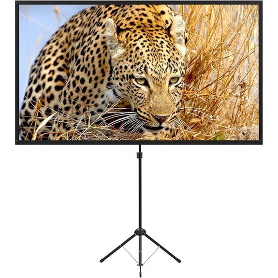 Portable 80-Inch Outdoor Movie Screen with Stand