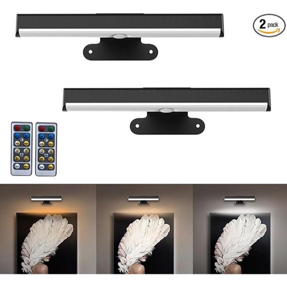 2-Pack LED Battery-Operated Wall Art Lights