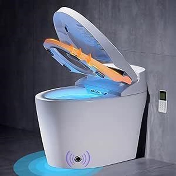 Smart Toilet with Bidet Warm Water Dryer Heated Seat