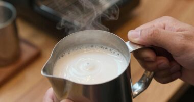 milk frothing techniques compared