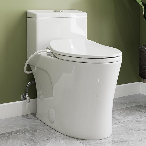 HOROW T0338W One Piece Toilet with Bidet