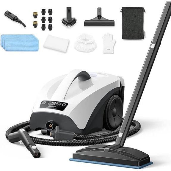 Portable Steam Cleaner with Large Tank and Accessories