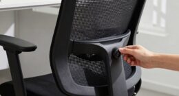 quick lumbar support adjustment