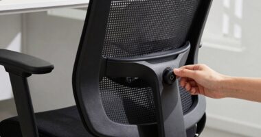 quick lumbar support adjustment