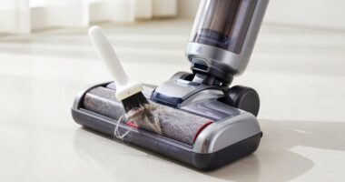 quick pet hair brush maintenance