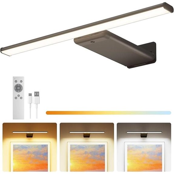 Rechargeable Wall Art Light with Remote 3 Colors