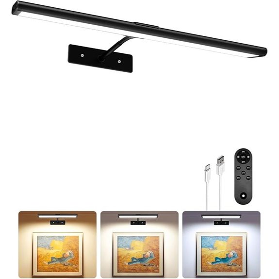rechargeable wall picture light