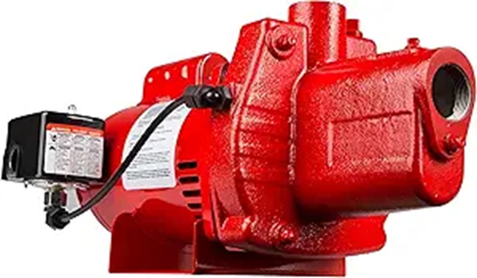 Red Lion 3/4 HP Cast Iron Shallow Well Jet Pump