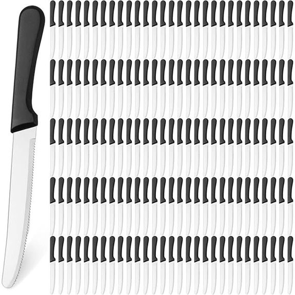 Zhehao 150 Pcs Steak Knife Set with Plastic Handles