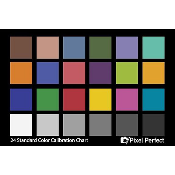 Pixel Perfect Camera Color Correction Card (Set of 2)