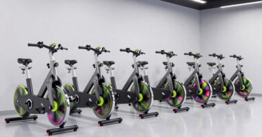 top 15 air bike rankings