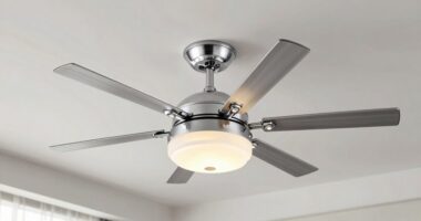 top 15 professional light fans