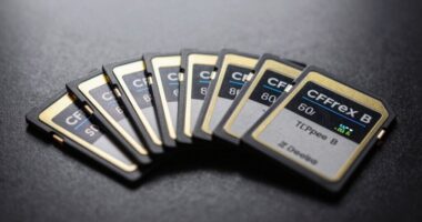 top 8 cfexpress b cards