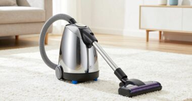 top allergy canister vacuums