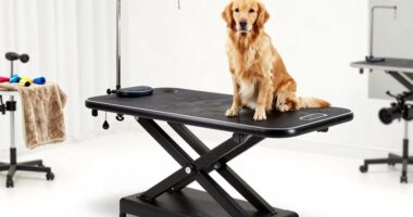 top dog grooming tables