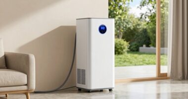 top dual hose portable ac