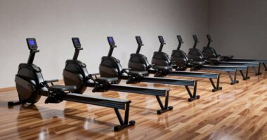 top magnetic rowing machines