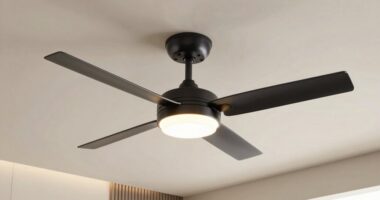 top modern fan lighting