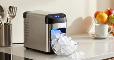 top nugget ice makers