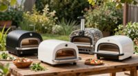 top outdoor gas pizza ovens