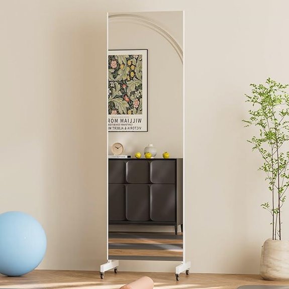 Brisafe 63x20 Ultra-Light Mobile Floor Mirror