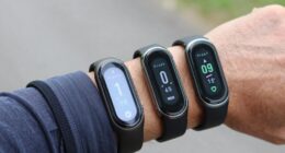 variability in step counts